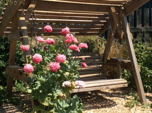 Wheelwrights Bed & Breakfast Abbotsbury Dış mekan fotoğraf