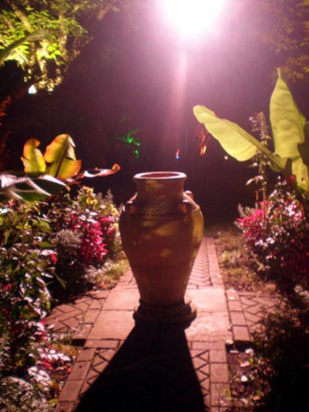 Wheelwrights Bed & Breakfast Abbotsbury Dış mekan fotoğraf