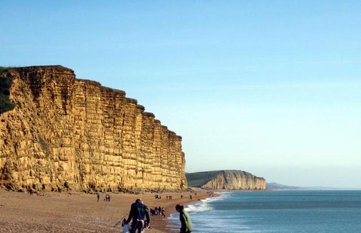 Wheelwrights Bed & Breakfast Abbotsbury Dış mekan fotoğraf